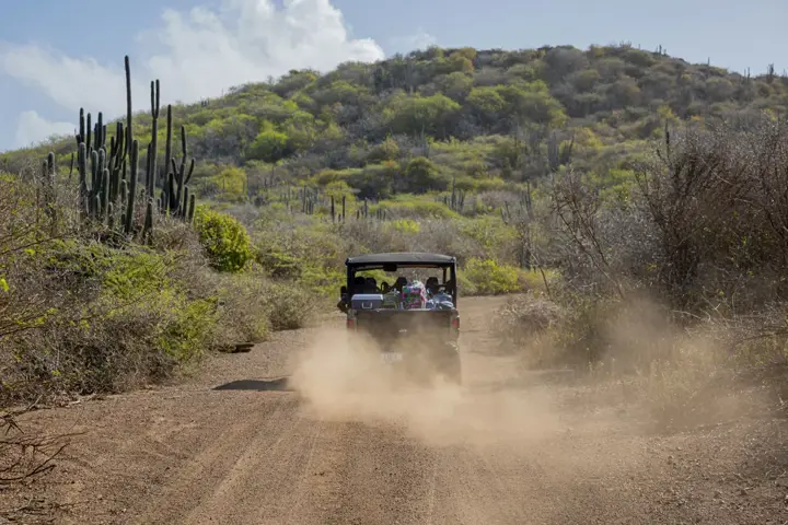 dln excursions bandabou twee